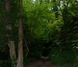 DSC_1542_DxO